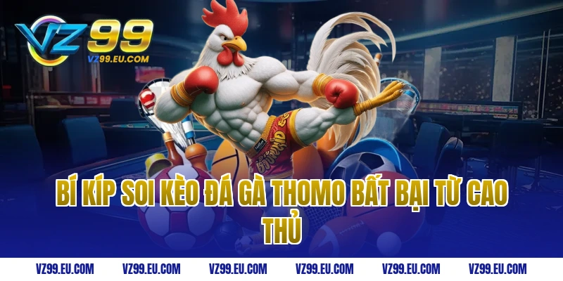 Bí kíp soi kèo Đá gà thomo bất bại từ cao thủ
