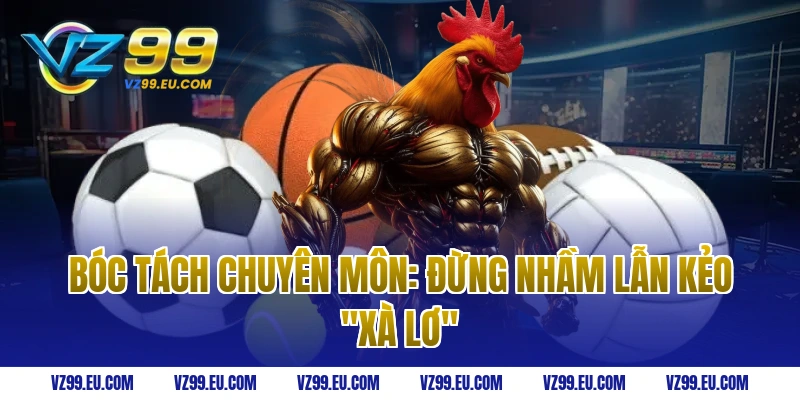 Bóc Tách Chuyên Môn: Đừng Nhầm Lẫn Kẻo "Xà Lơ"