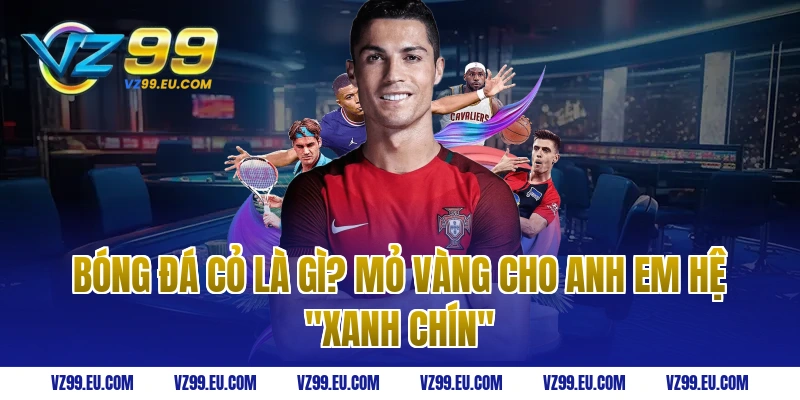 Soi kèo bóng đá cỏ là gì? Mỏ vàng cho anh em hệ "Xanh Chín"