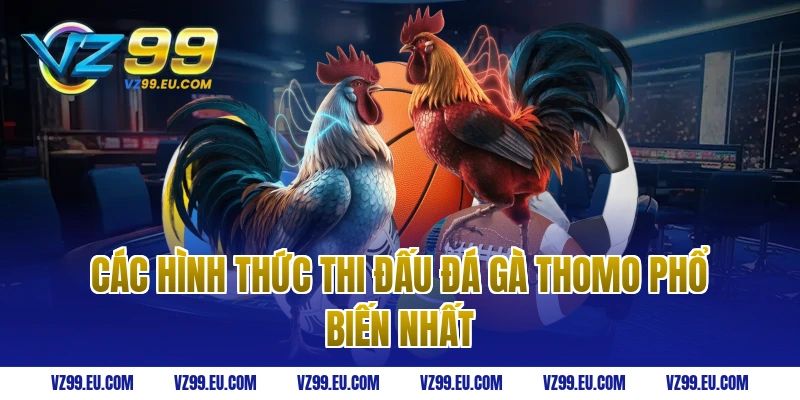Các hình thức thi đấu Đá gà thomo phổ biến nhất