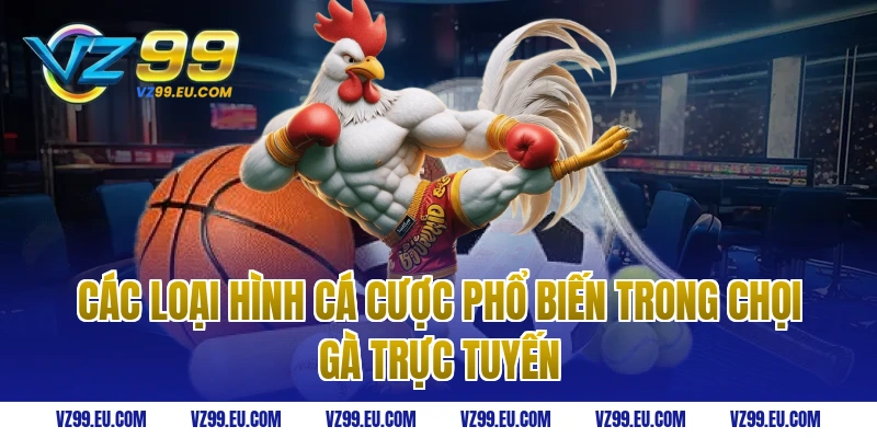 Các loại hình cá cược phổ biến trong chọi gà trực tuyến