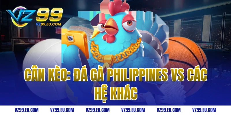 Cân Kèo: Đá Gà Philippines vs Các Hệ Khác