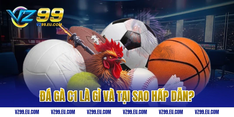 Đá gà C1 là gì và tại sao hấp dẫn?