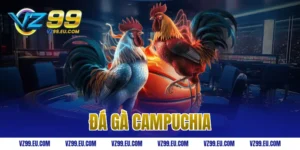 đá gà Campuchia