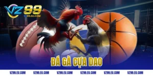 đá gà cựa dao