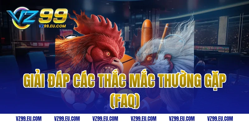 Giải đáp các thắc mắc thường gặp (FAQ)
