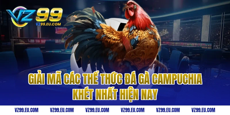 Giải mã các thể thức đá gà Campuchia khét nhất hiện nay