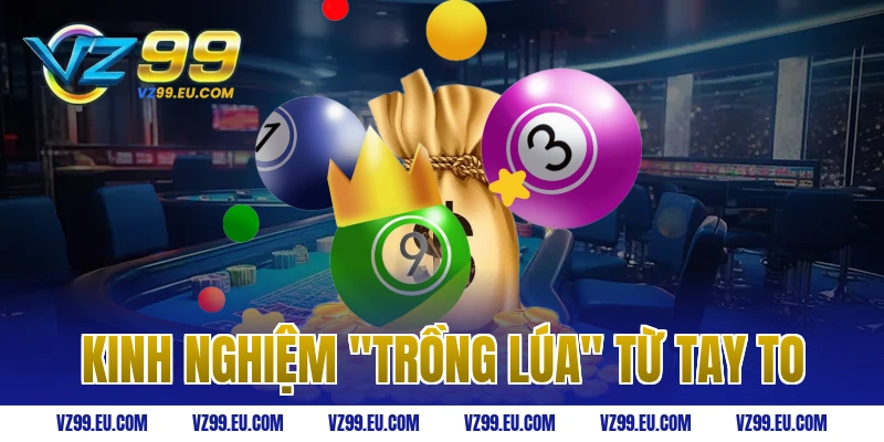 Kinh nghiệm "trồng lúa" từ tay to