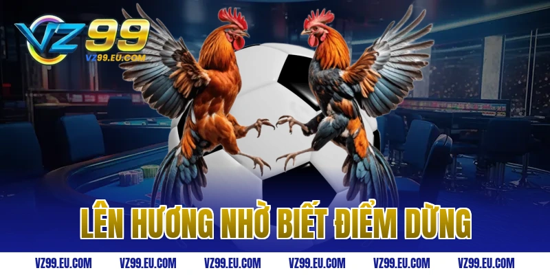 Lên Hương Nhờ Biết Điểm Dừng