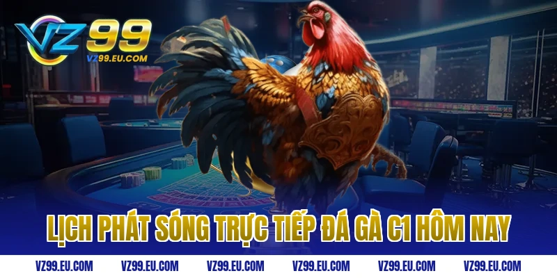 Lịch phát sóng trực tiếp đá gà C1 hôm nay