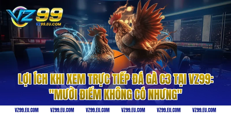 Lợi Ích Khi Xem Trực Tiếp Đá Gà C3 Tại VZ99: "Mười Điểm Không Có Nhưng"