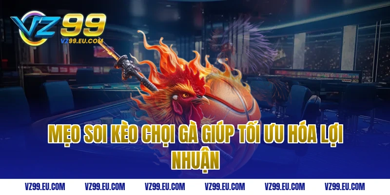 Mẹo soi kèo chọi gà giúp tối ưu hóa lợi nhuận