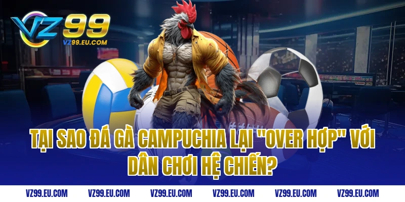 Tại sao đá gà Campuchia lại "Over hợp" với dân chơi hệ chiến?