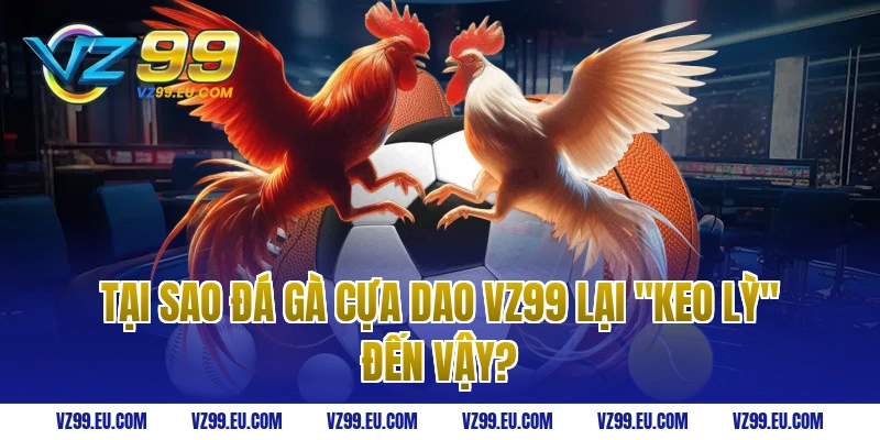Tại Sao Đá Gà Cựa Dao VZ99 Lại "Keo Lỳ" Đến Vậy?