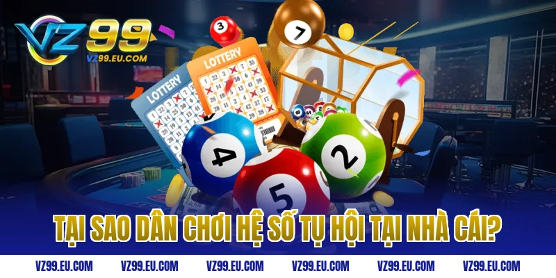 Tại sao dân chơi hệ số tụ hội tại nhà cái?