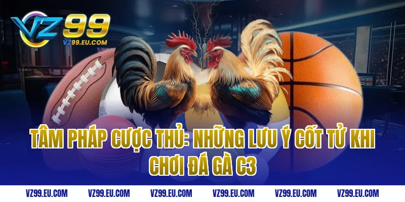 Tâm Pháp Cược Thủ: Những Lưu Ý Cốt Tử Khi Chơi Đá Gà C3