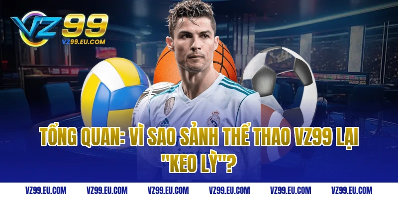 Tổng Quan: Vì Sao Sảnh Thể Thao VZ99 Lại "Keo Lỳ"?