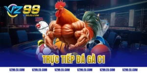 trực tiếp đá gà C1