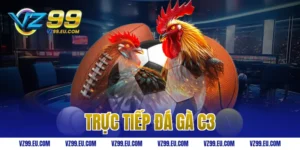 trực tiếp đá gà C3