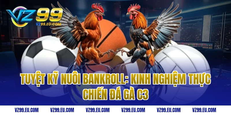 Tuyệt Kỹ Nuôi Bankroll: Kinh Nghiệm Thực Chiến Đá Gà C3