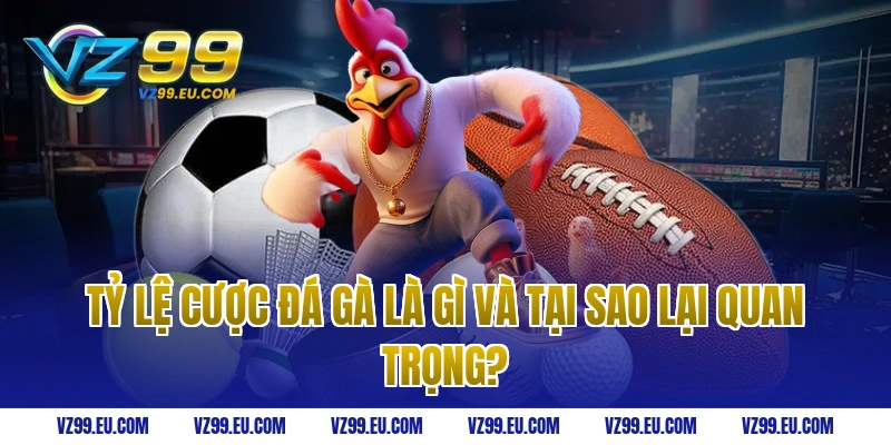 Tỷ lệ cược đá gà là gì và tại sao lại quan trọng?