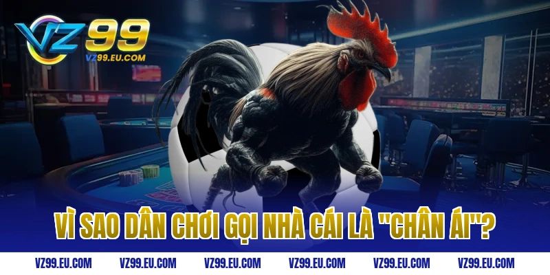 Vì Sao Dân Chơi Gọi Nhà Cái Là "Chân Ái"?